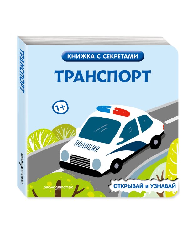 Дополнительное изображение книги «Транспорт»