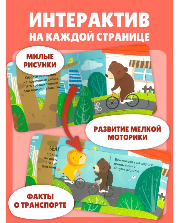 Дополнительное изображение книги «Транспорт»