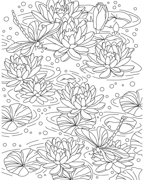 Таинственный сад