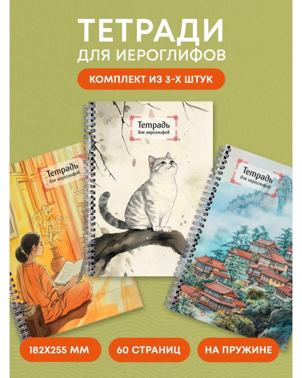 Комплект из 3-х тетрадей для иероглифов на пружине (ИК)