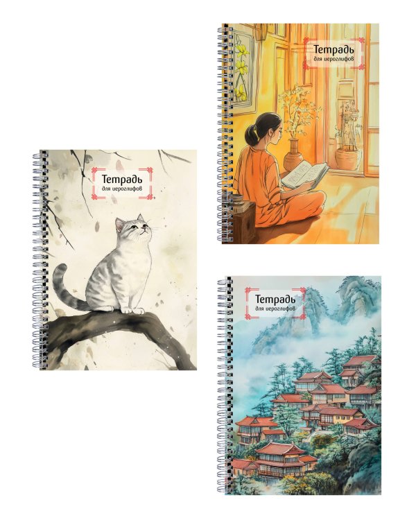 Комплект из 3-х тетрадей для иероглифов на пружине (ИК)