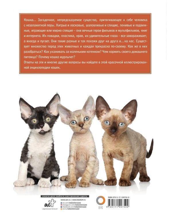 Кошки