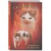 Дополнительное изображение книги «Планирую замышлять! Ежедневник недатированный (А5, 72 л.)»