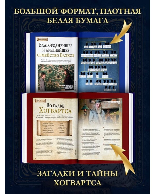Гарри Поттер. Большая книга волшебства