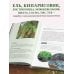Подарочные издания. Ландшафтный дизайн Роскошные хвойные. Виды, посадка, уход