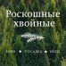 Подарочные издания. Ландшафтный дизайн Роскошные хвойные. Виды, посадка, уход