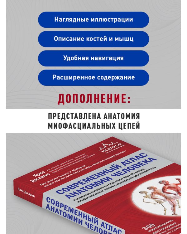 Современный атлас анатомии человека. Карманное пособие по строению костей, мышц, миофасциальных цепей и принципам движения тела