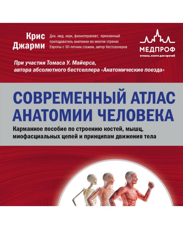Современный атлас анатомии человека. Карманное пособие по строению костей, мышц, миофасциальных цепей и принципам движения тела
