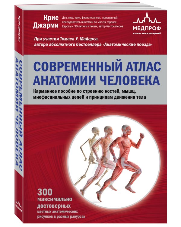 Современный атлас анатомии человека. Карманное пособие по строению костей, мышц, миофасциальных цепей и принципам движения тела