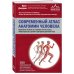 Медицинский атлас Современный атлас анатомии человека. Карманное пособие по строению костей, мышц, миофасциальных цепей и принципам движения тела