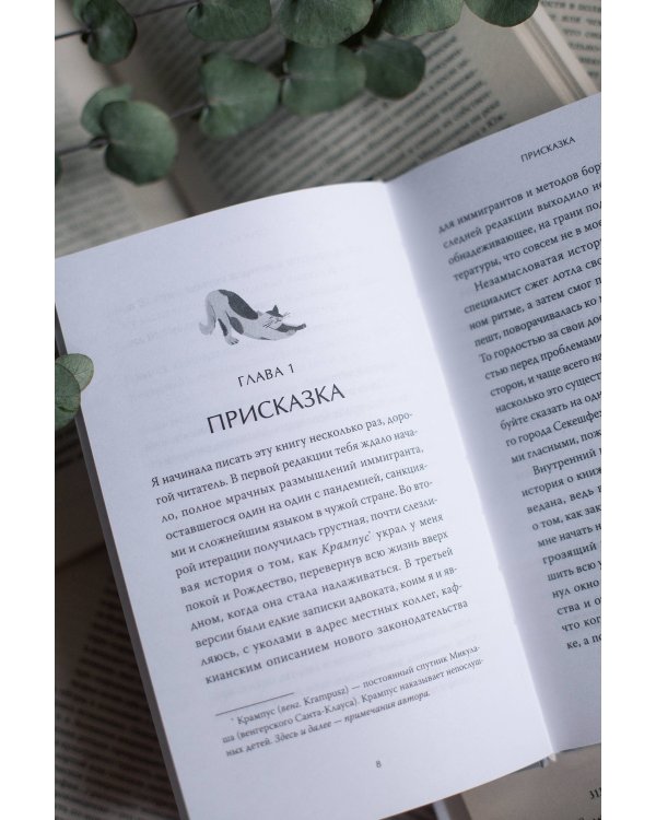 Русский книжный в Будапеште. Мечты и бизнес под одной крышей