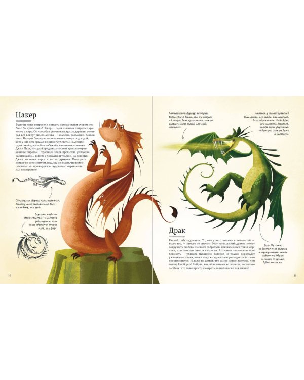 Большая книга о драконах