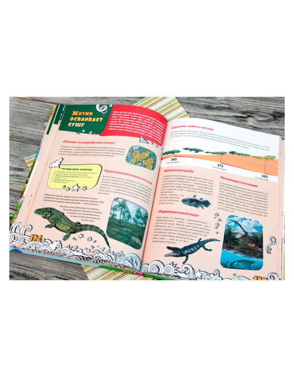 Большая энциклопедия знаний для девочек