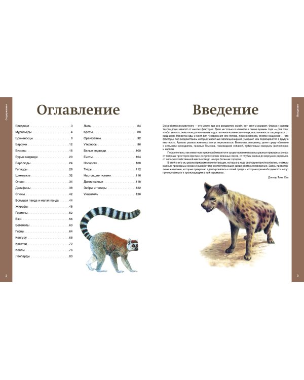 Самые необычные звери мира