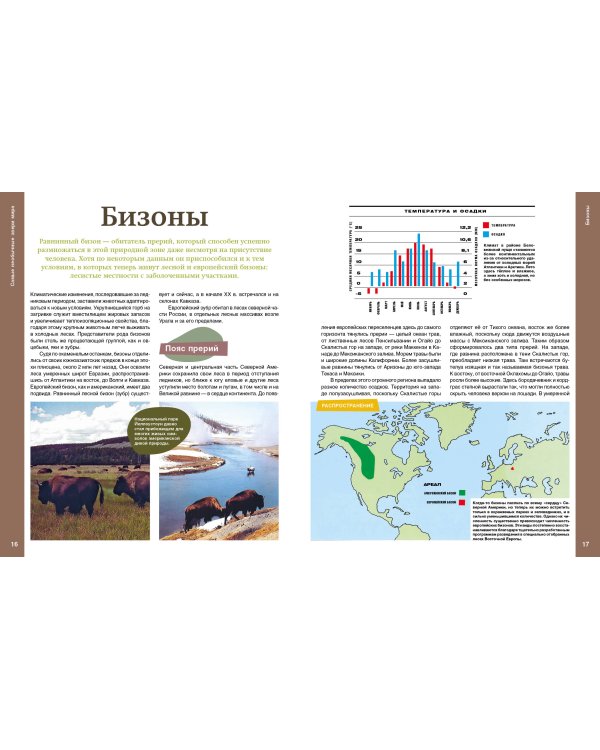 Самые необычные звери мира