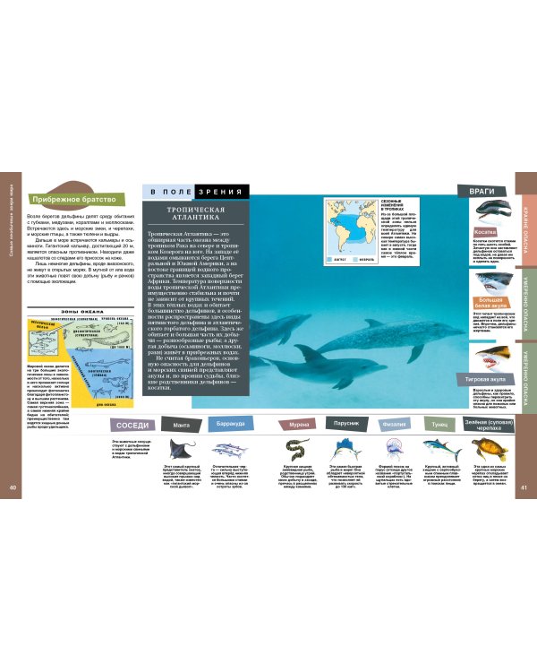 Самые необычные звери мира