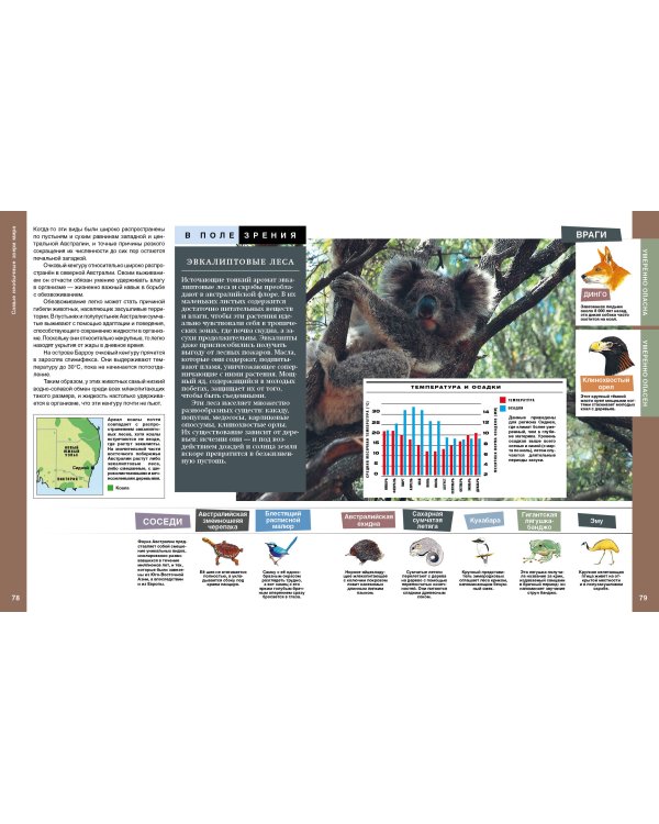 Самые необычные звери мира