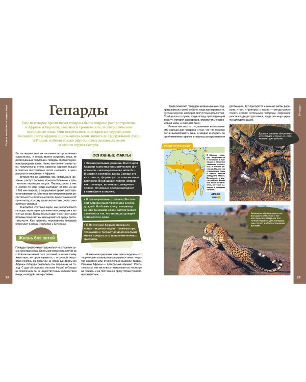 Самые необычные звери мира