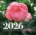 Пионы. Настенный календарь на 2026 год