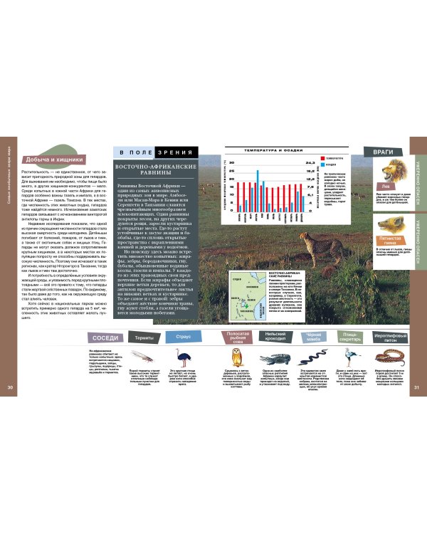 Самые необычные звери мира