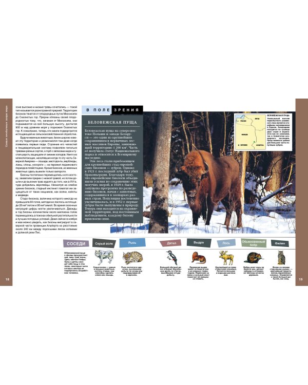 Самые необычные звери мира