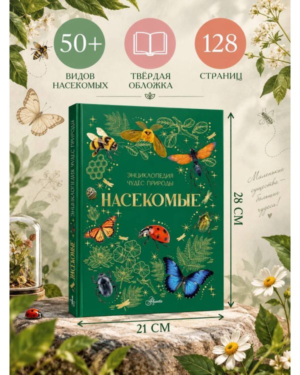 Дополнительное изображение книги «Насекомые»
