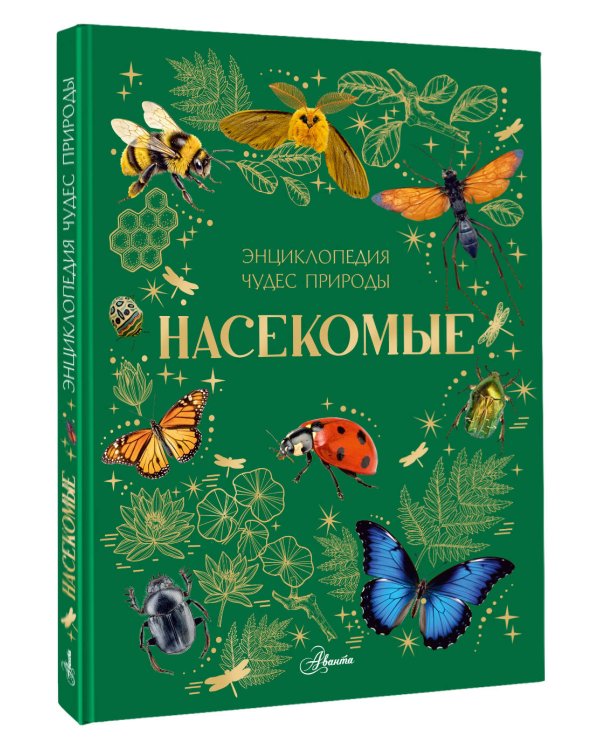 Дополнительное изображение книги «Насекомые»