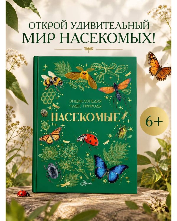 Дополнительное изображение книги «Насекомые»
