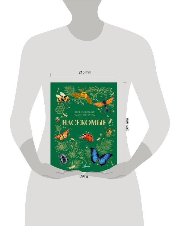 Дополнительное изображение книги «Насекомые»