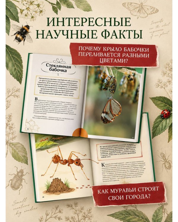 Дополнительное изображение книги «Насекомые»