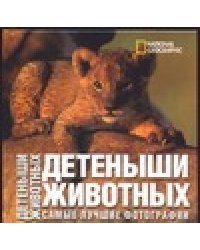 Детеныши животных