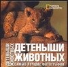 Альбом NG Детеныши животных