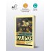 Дополнительное изображение книги «Письма к молодому поэту»