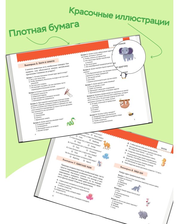 Моя Земля. Книга увлекательных тестов о нашей удивительной планете