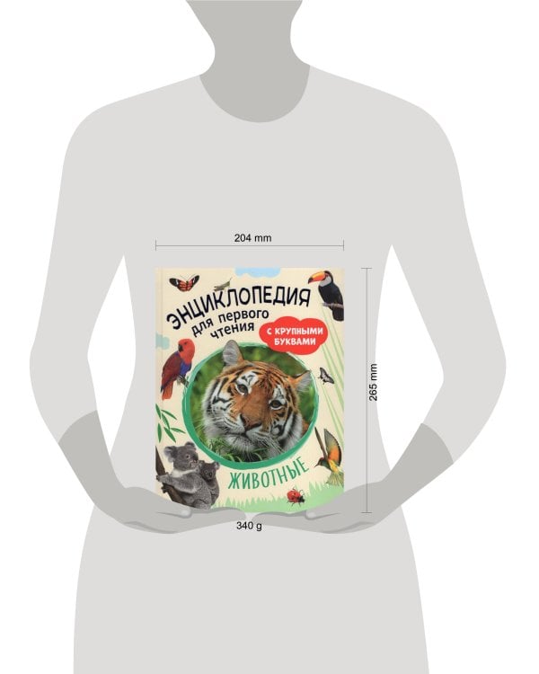 Животные. Энциклопедия для первого чтения с крупными буквами