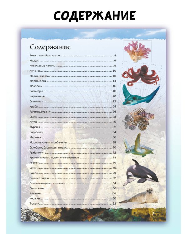 Подводный мир