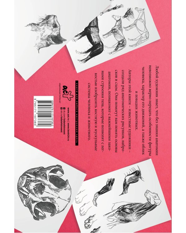 Анатомия для художников. Альбом для скетчинга