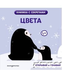 Цвета