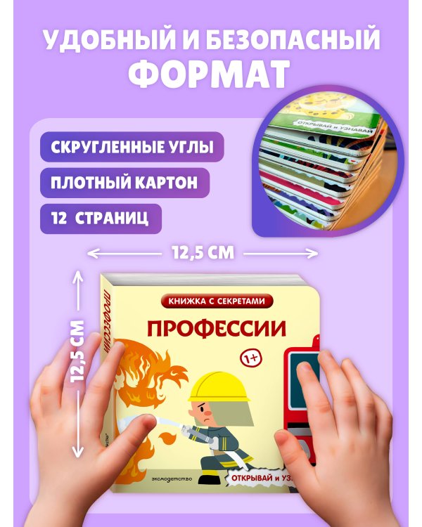 Дополнительное изображение книги «Профессии»