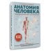 Анатомия человека. Опорно-двигательный аппарат, внутренние органы