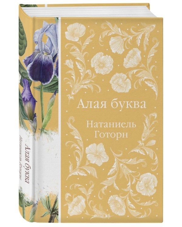 Дополнительное изображение книги «Алая буква»