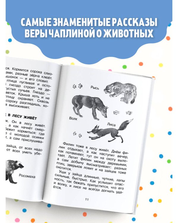 Фомка - белый медвежонок. Рассказы