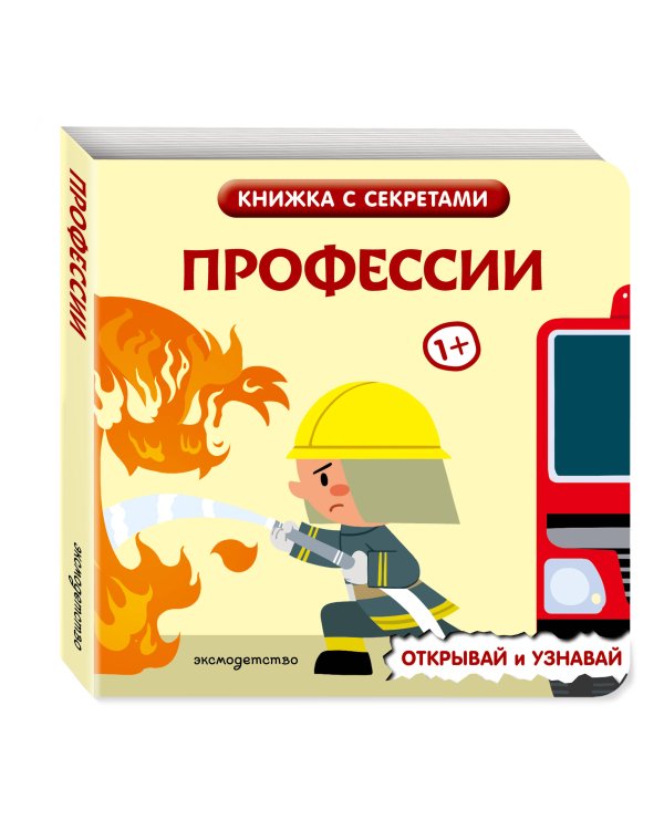 Дополнительное изображение книги «Профессии»