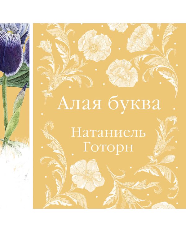 Дополнительное изображение книги «Алая буква»