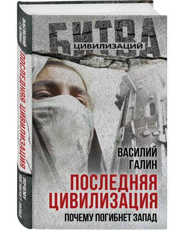 Последняя цивилизация. Почему погибнет Запад
