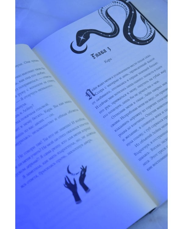 Дополнительное изображение книги «Черное сердце фейри»