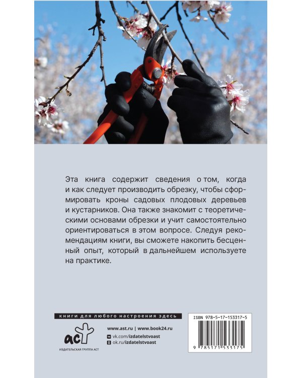 Обрезка плодовых деревьев, кустарников. Правила и советы для начинающих