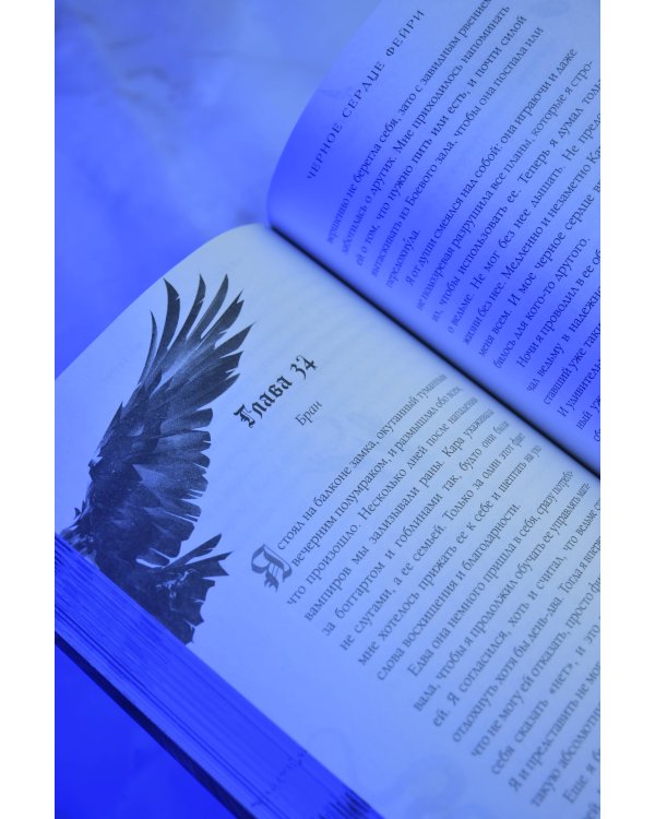 Дополнительное изображение книги «Черное сердце фейри»