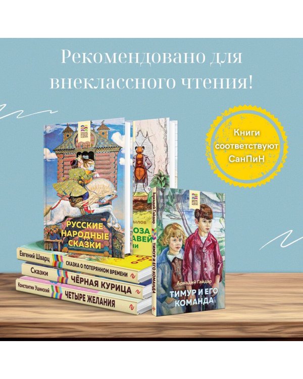 Тимур и его команда