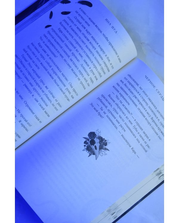 Дополнительное изображение книги «Черное сердце фейри»